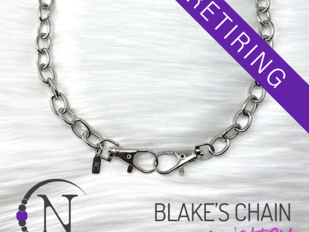 Blake s Chain NTIO Necklace Choker by Blake English For Sale