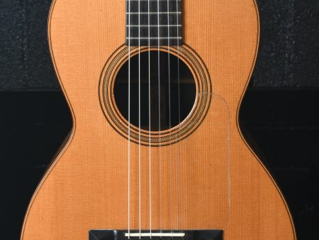 1891 Martin 1-21 Acoustic Online Sale