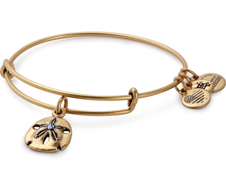 Sand Dollar Charm Bangle Discount