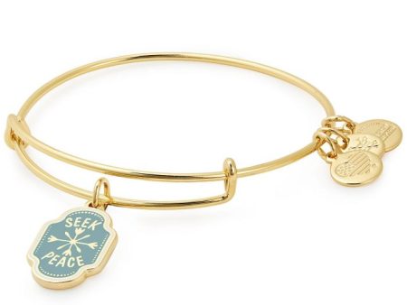 Seek Peace Charm Bangle For Discount