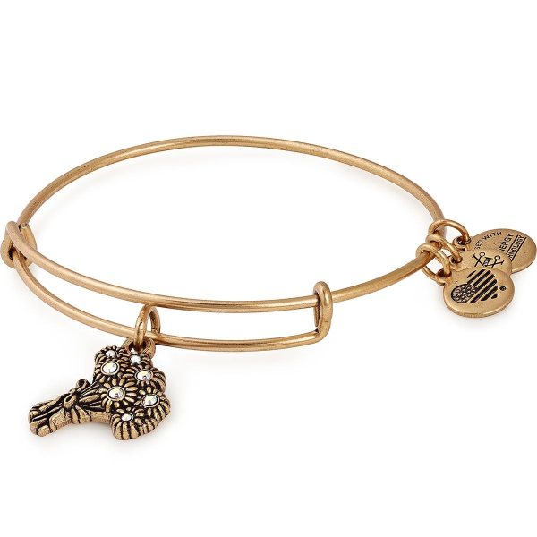 I Pick You Charm Bangle Online now