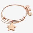 Wish Upon a Star Charm Bangle Shiny Rose Gold Online