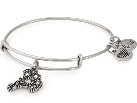 I Pick You Charm Bangle Online now