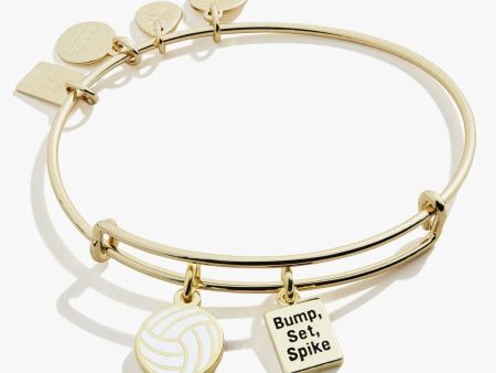 Team USA Volleyball Duo Charm Bangle Supply