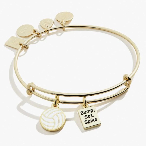 Team USA Volleyball Duo Charm Bangle Supply