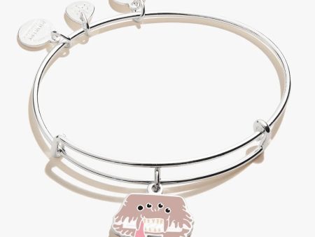 Harry Potter™ Monster Book of Monsters Charm Bangle For Cheap