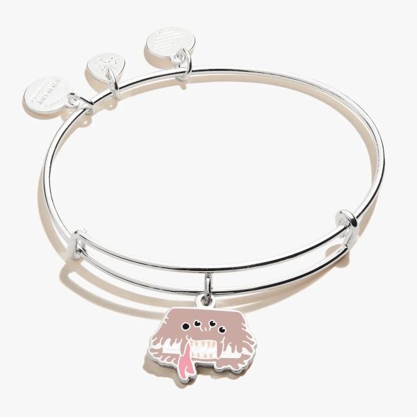 Harry Potter™ Monster Book of Monsters Charm Bangle For Cheap